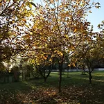 Pod Platanem Agroturismo Smardzowice