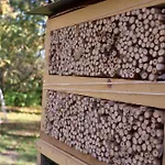 Agroturismo Pod Platanem
