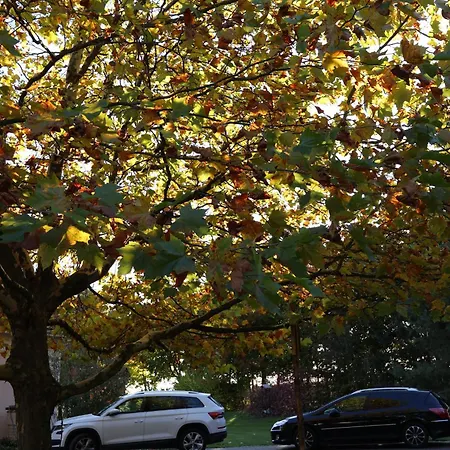 Pod Platanem Gospodarstwo agroturystyczne