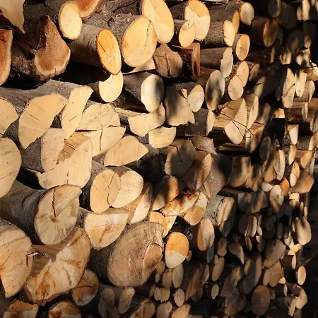 Séjour à la ferme Pod Platanem Smardzowice