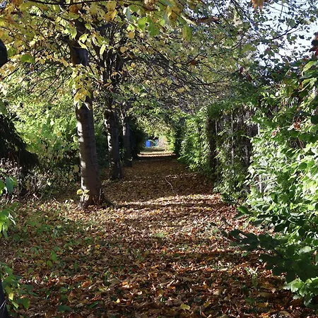 Pod Platanem Gospodarstwo agroturystyczne *