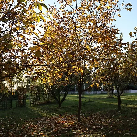 Pod Platanem Gospodarstwo agroturystyczne Smardzowice