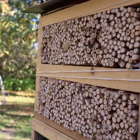 Gospodarstwo agroturystyczne Pod Platanem