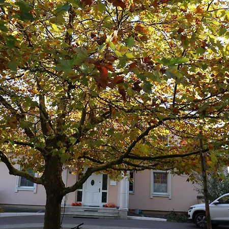 Gospodarstwo agroturystyczne Pod Platanem *