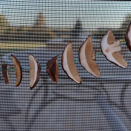 Pod Platanem Gospodarstwo agroturystyczne Smardzowice