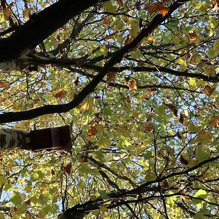 Pod Platanem * Smardzowice