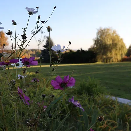 Gospodarstwo agroturystyczne Pod Platanem *