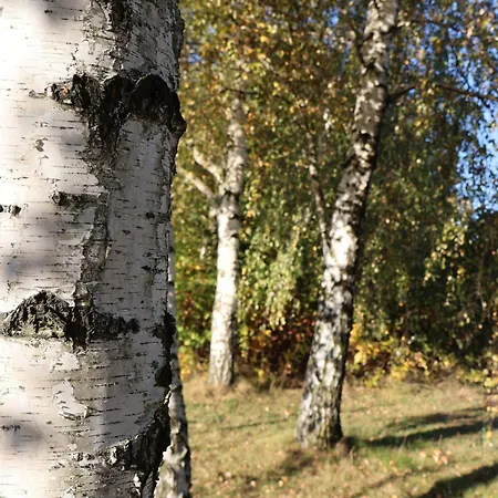 Pod Platanem * Smardzowice