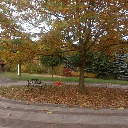 Gospodarstwo agroturystyczne Pod Platanem *