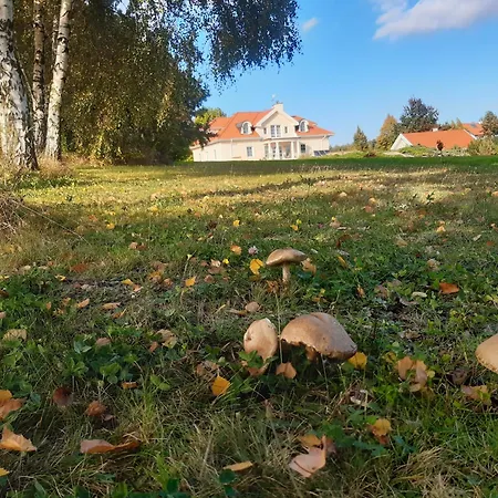 Pod Platanem * Smardzowice