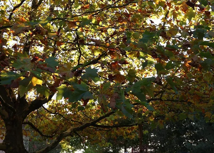 Pod Platanem Séjour à la ferme