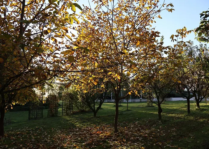 Pod Platanem Séjour à la ferme Smardzowice
