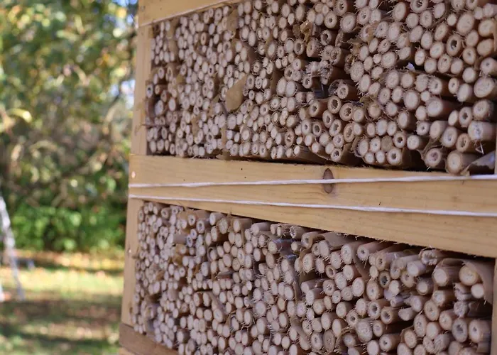 Séjour à la ferme Pod Platanem