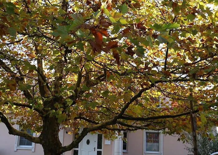 Séjour à la ferme Pod Platanem *