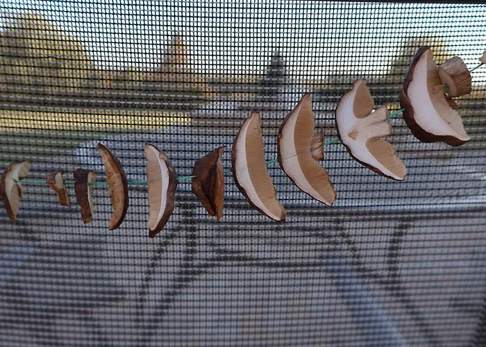 Pod Platanem Séjour à la ferme Smardzowice