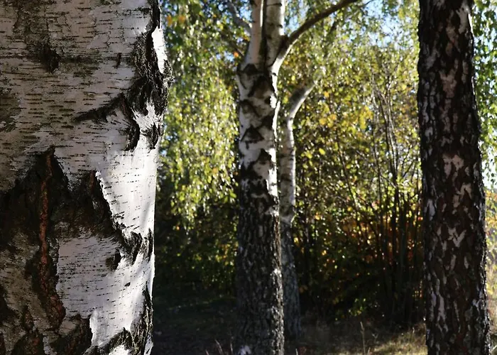 Pod Platanem Smardzowice