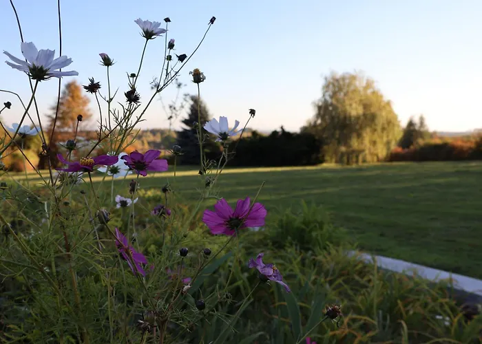 Séjour à la ferme Pod Platanem *