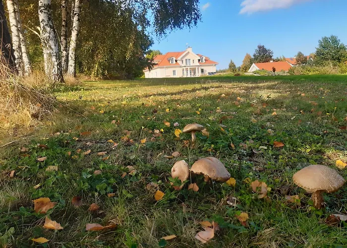 Pod Platanem * Smardzowice